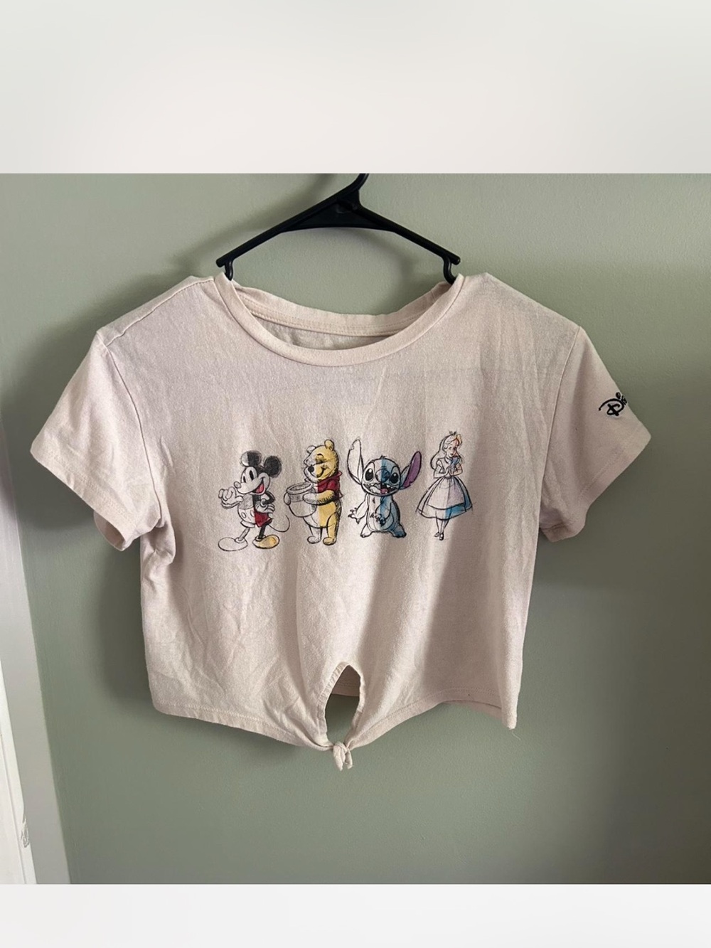 Disney 100 character tie crop top